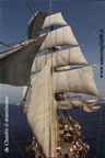 le vele di nave scuola Amerigo Vespucci