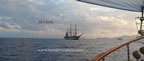 nave scuola amerigo vespucci alla fonda