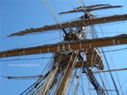 pennoni della nave scuola Amerigo Vespucci