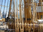 pazienza nave scuola Amerigo Vespucci