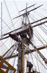 nave scuola Amerigo Vespucci un albero