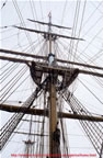 nave scuola Amerigo Vespucci un albero
