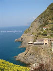 Cinque Terre Riomaggiore via dell'amore