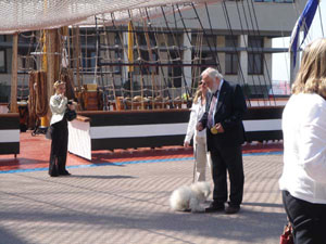 Sauro Comandante nave Vespucci
