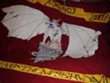 bandiera corso asgard accademia navale livorno