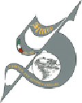 bandiera corso simun accademia navale livorno