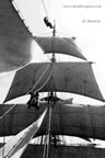 lavori e usanze a bordo nave scuola amerigo vespucci