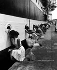 foto storiche nave scuola amerigo vespucci tradizioni usanze