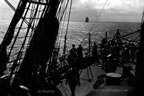 nave scuola amerigo vespucci cristoforo colombo