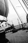 a bordo nave scuola amerigo vespucci