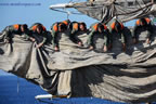 manovra generale alla vela nave scuola amerigo vespucci