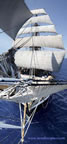 manovra generale alla vela nave scuola amerigo vespucci