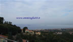 porto di Livorno da Montenero