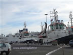 rimorchiatori porto di Livorno
