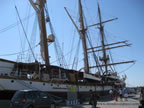 palinuro a livorno