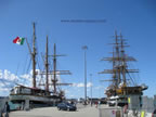 vespucci e palinuro a livorno