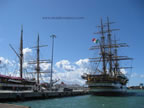 vespucci e palinuro a livorno