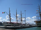 vespucci e palinuro a livorno