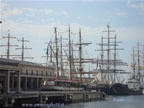 nave veliero Palinuro Tall Ships 2007