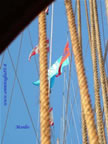 nave Vespucci Tall Ships 2007 Genova bandiera unicef