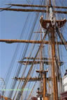 nave scuola Amerigo Vespucci alberi