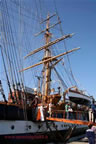 nave scuola Amerigo Vespucci