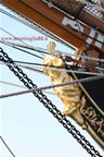 nave scuola Amerigo Vespucci la polena