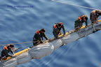 manovra generale alla vela nave scuola amerigo vespucci