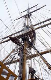 alberi nave scuola amerigo vespucci