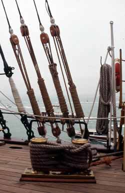 l'otto nave scuola amerigo Vespucci