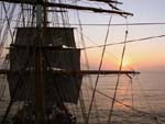 non chi comincia ma quel che persevera amerigo vespucci