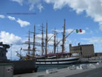 vespucci e palinuro a livorno